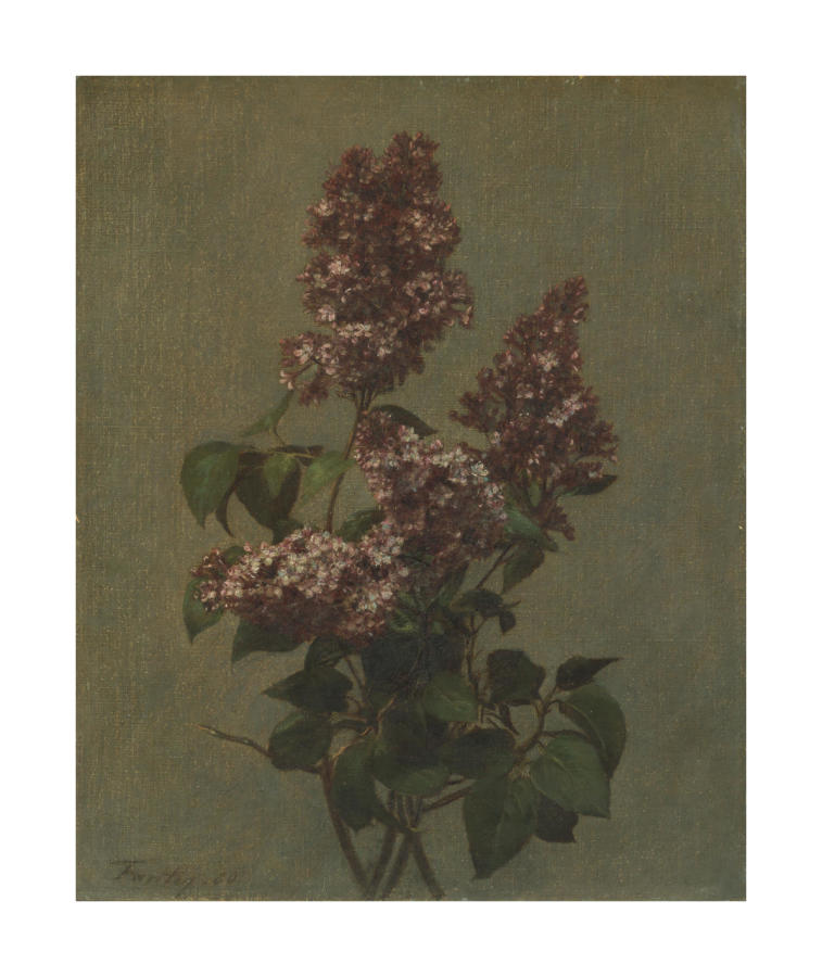 Spray of Purple Lilac, 1880 by Henri Fantin-Latour - Paper Print