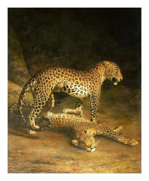Two Leopards Lying In The Exeter Exchange by Jacques-Laurent
