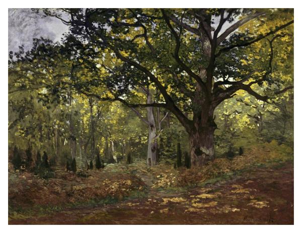 Bodmer Oak, Fontainebleau Forest, 1865 by Claude Monet | Paper
