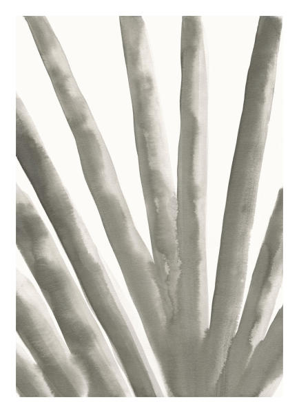 Aloe Vera by Uppsala Studio | Paper Print | Custom Prints and Framing from  Global Gallery