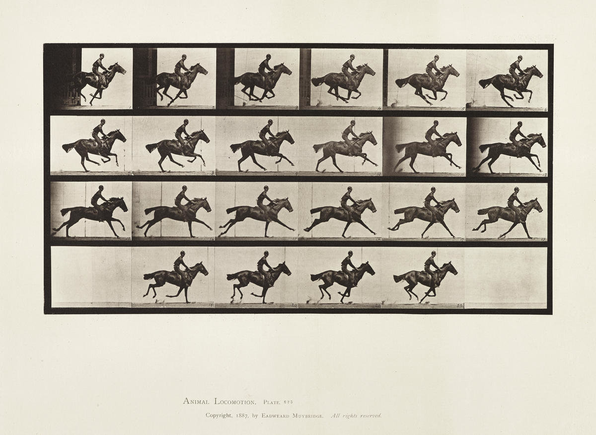 Eadweard Muybridge, 