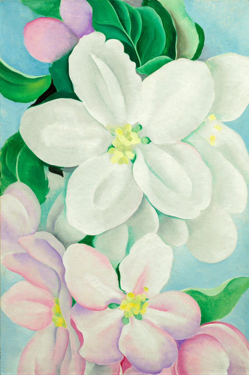 Apple Blossoms, 1930 by Georgia O'Keeffe - Paper Print - Nelson