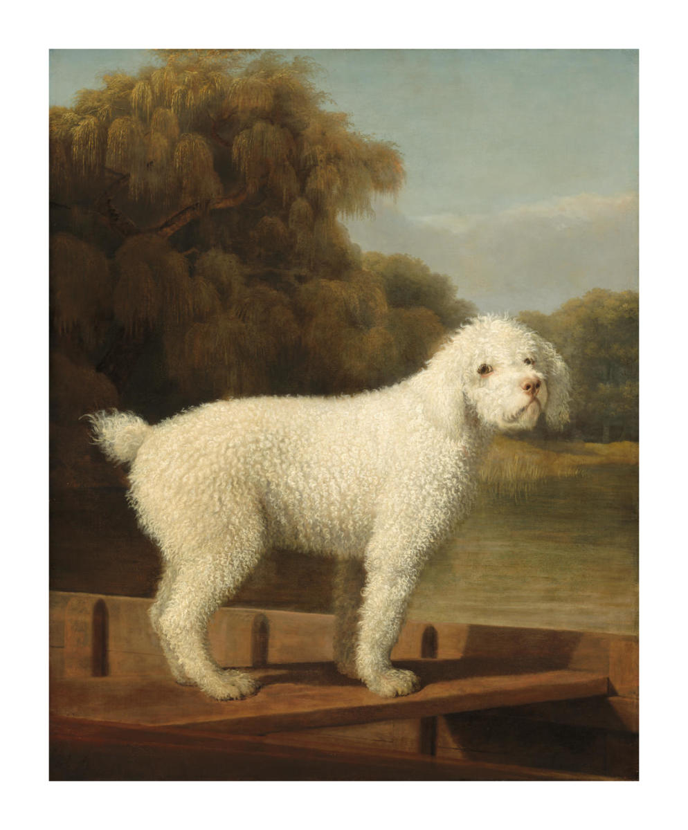 White Poodle in a Punt, c. 1780 by George Stubbs - Paper Print