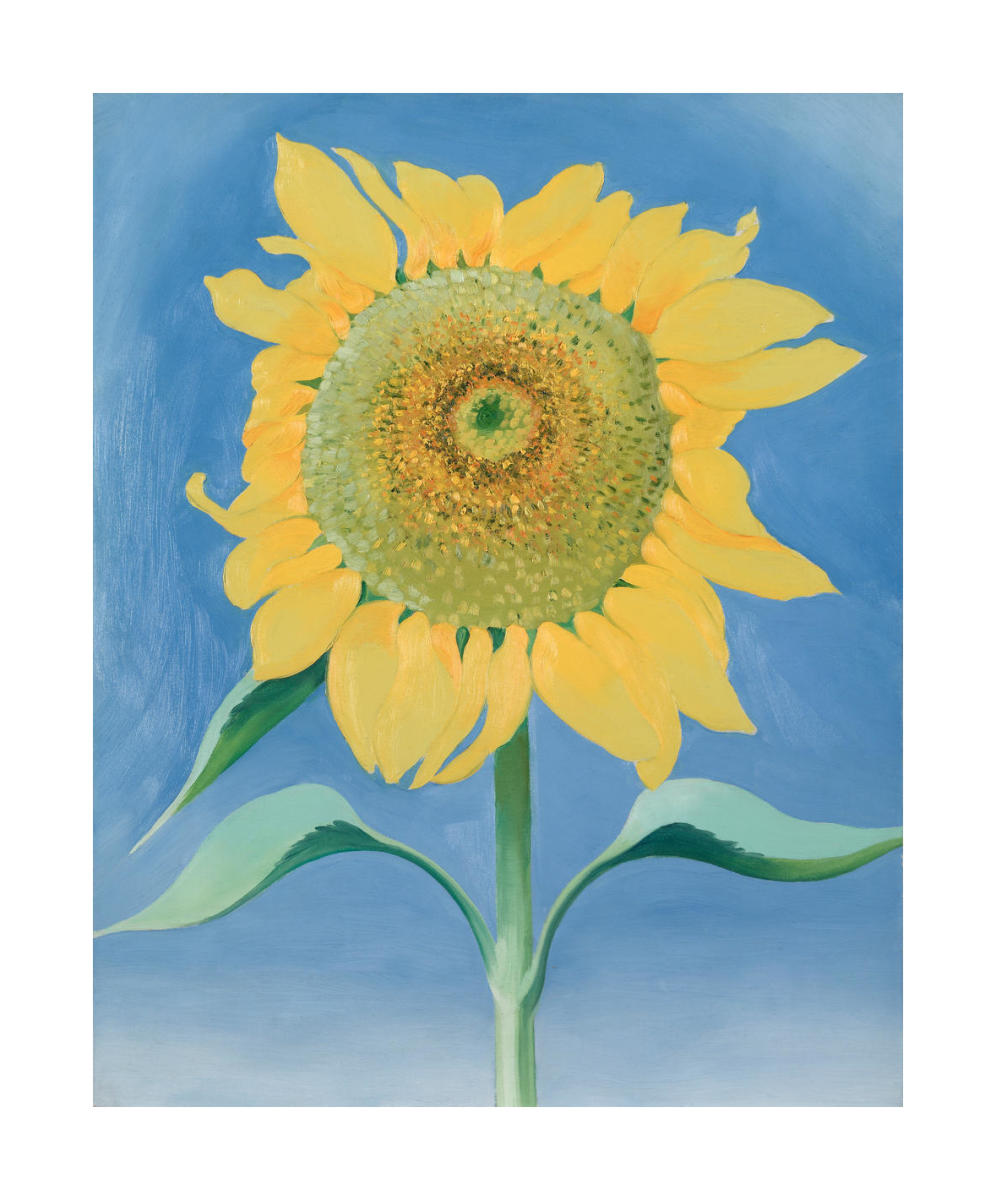 Sunflower, New Mexico 1, 1935 by Georgia O'Keeffe - Paper