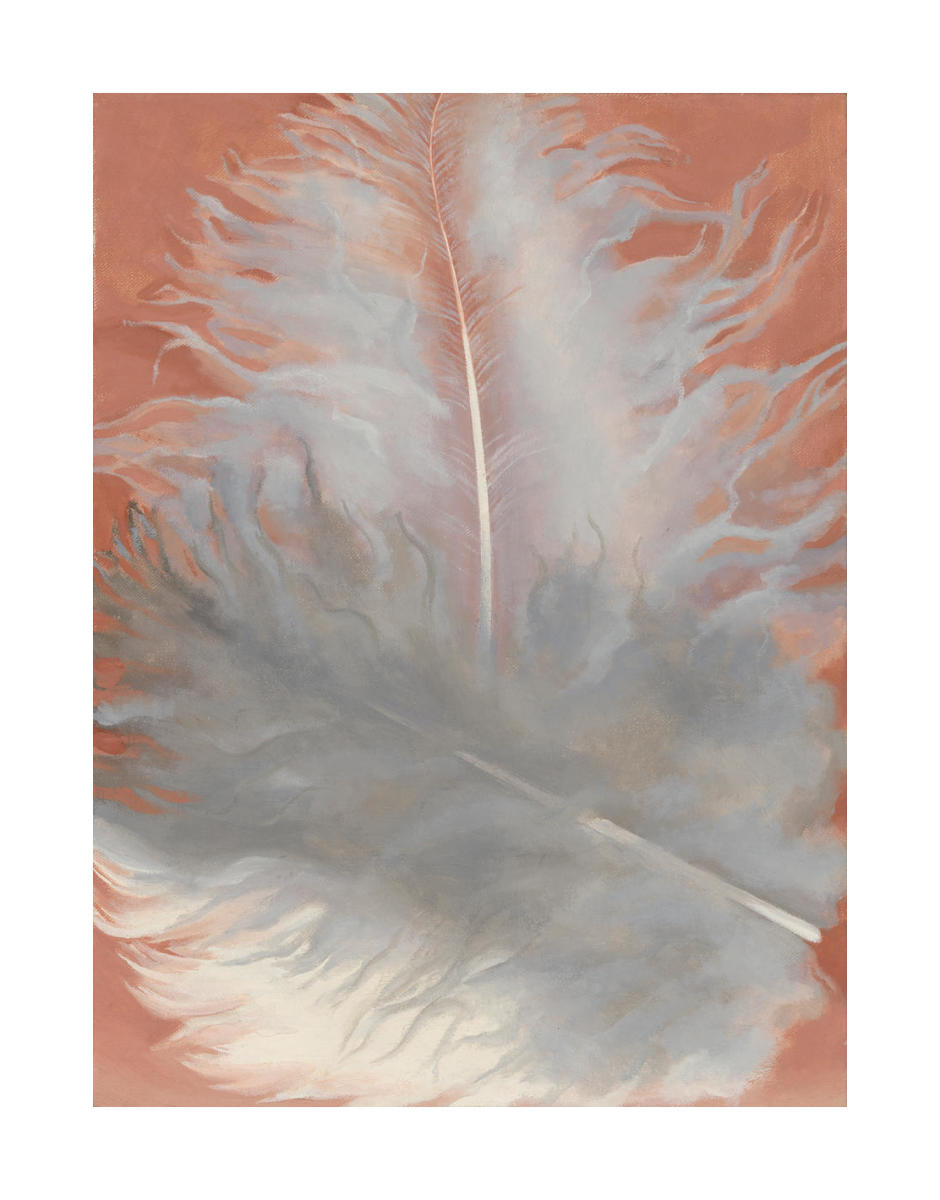 Feathers, White and Grey, 1942 by Georgia O'Keeffe - Paper Print