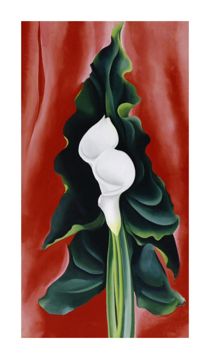 o keeffe calla lilies