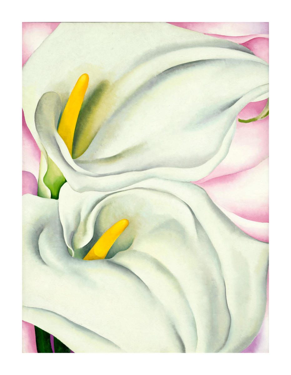 georgia o keeffe calla lilies on red