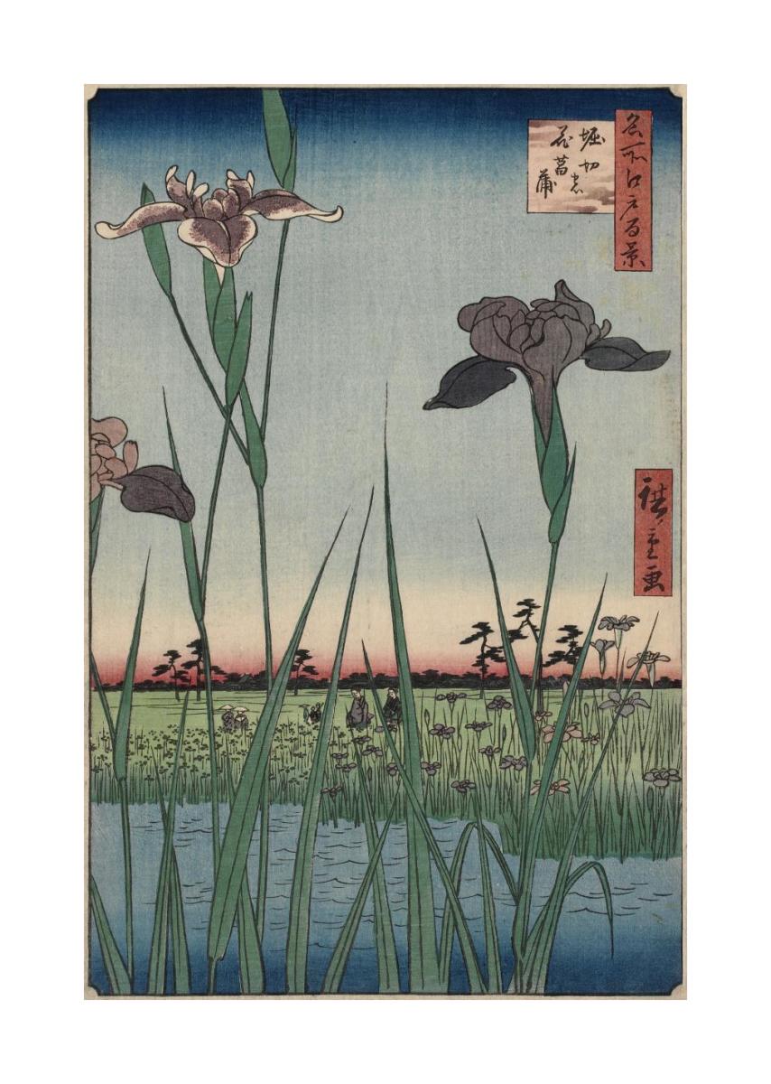 Horikiri Iris Garden (Horikiri no hanashôbu), 1857 by Utagawa