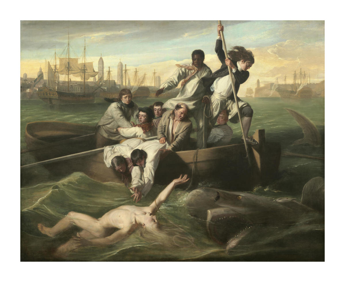 john singleton copley watson and the shark