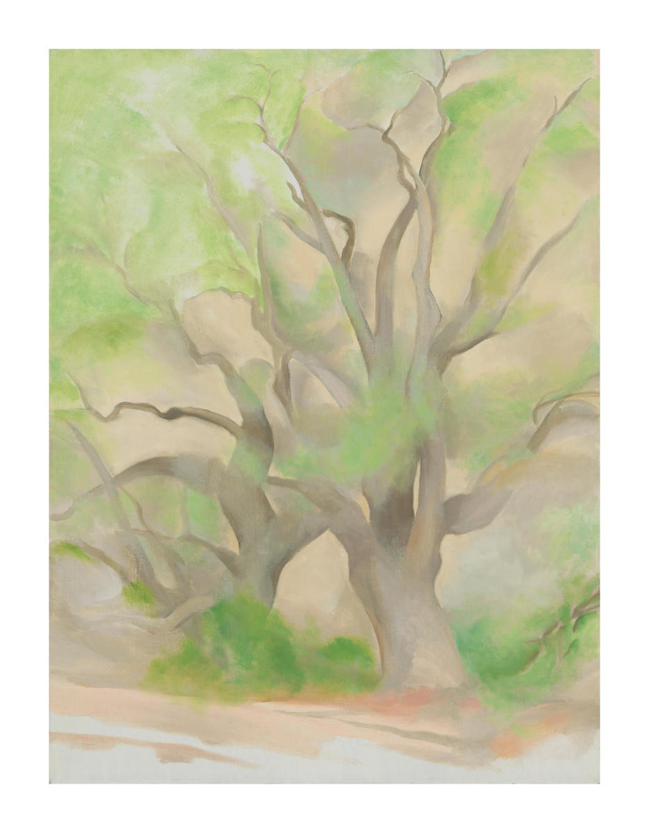 Winter Tree III, 1953 by Georgia O'Keeffe - Paper Print - Georgia O'Keeffe  Museum Custom Prints - Custom Prints and Framing From the Georgia O'Keeffe  Museum