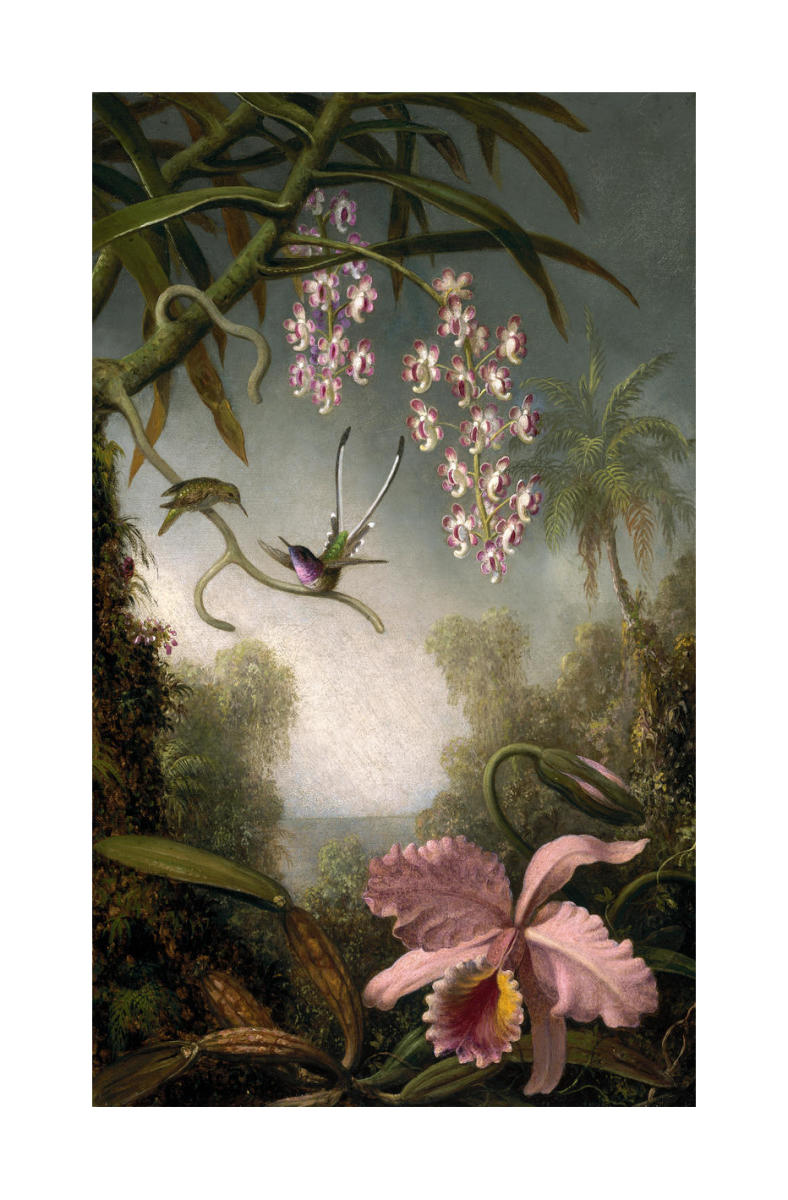 Orchids and Spray Orchids with Hummingbirds, about 1875-90