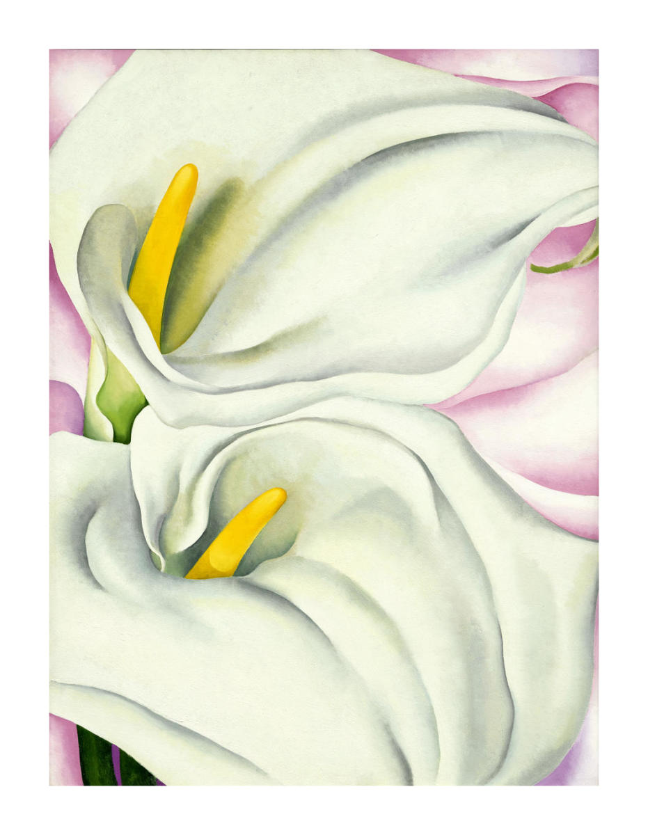 georgia o keeffe white calla lily