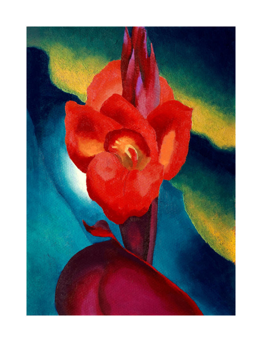 絵画 cana Red Canna, 1919 by Georgia O'Keeffe - Paper Print - High Custom