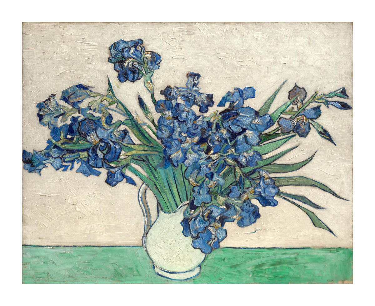Iris Painting Van Gogh