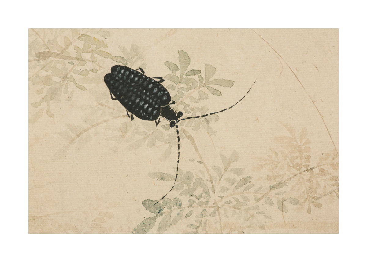 Early Autumn Light 版画 Autumn Light - SOLD | Cook House Gallery - Lake District and