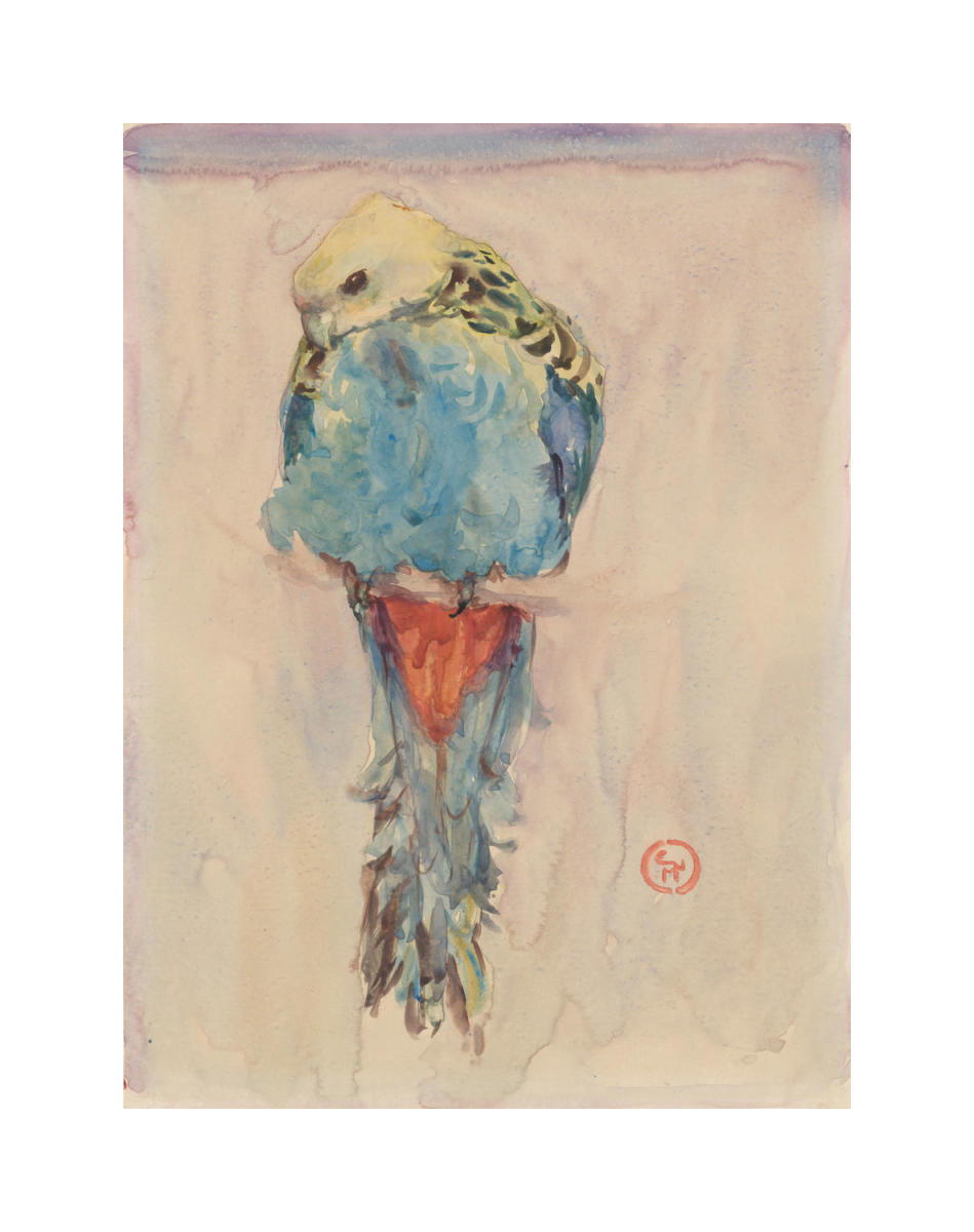 The Parrot, 1915 by E. Newell Marshall - Archival Print - Isabella