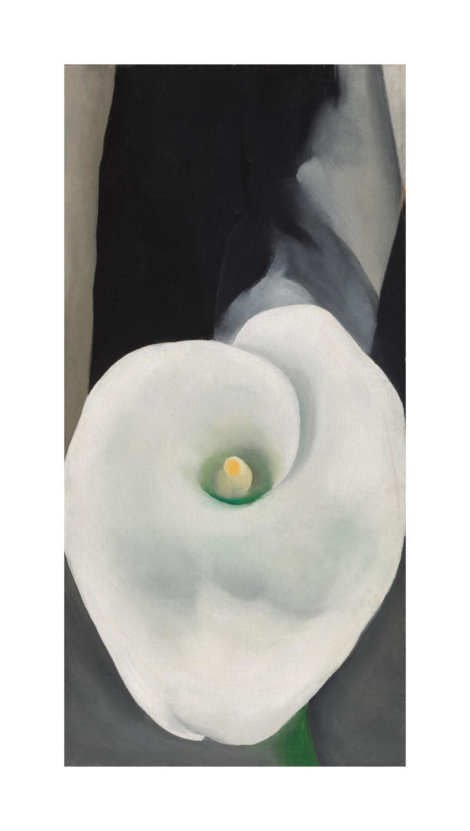 o keeffe calla lilies