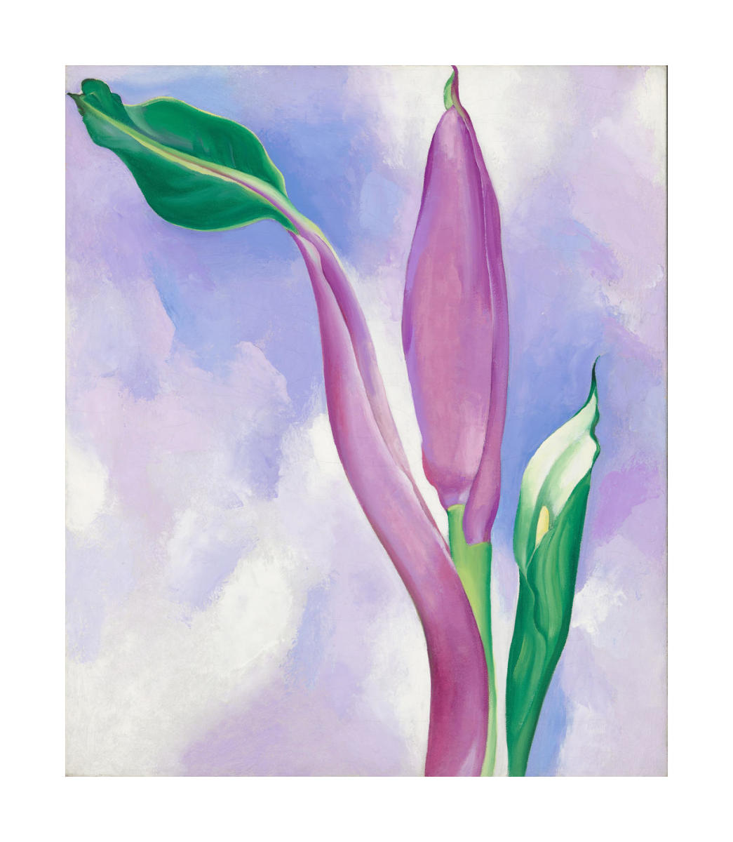 georgia o keeffe pink tulip