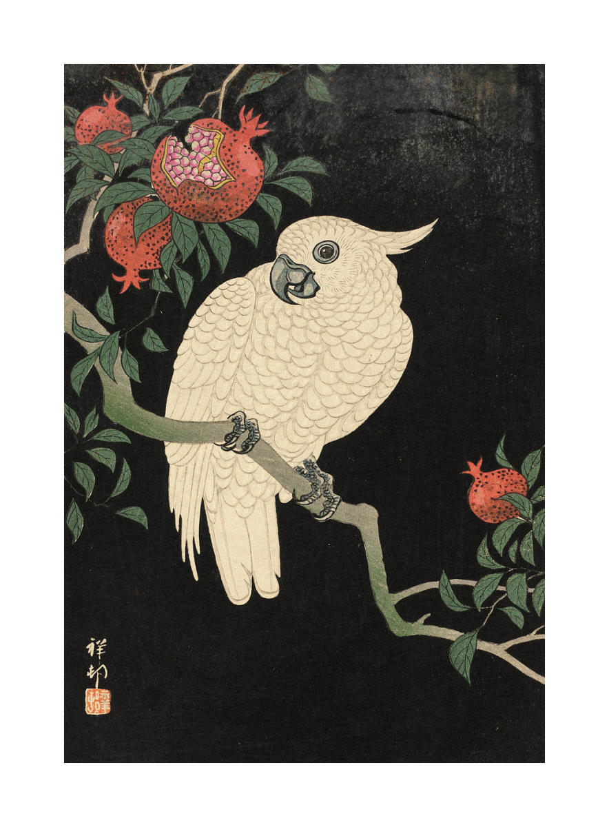【POPORN MUSEUM】ピザぱん！オラオラスカジャン Cockatoo and Pomegranate, 20th century by Ohara Shōson