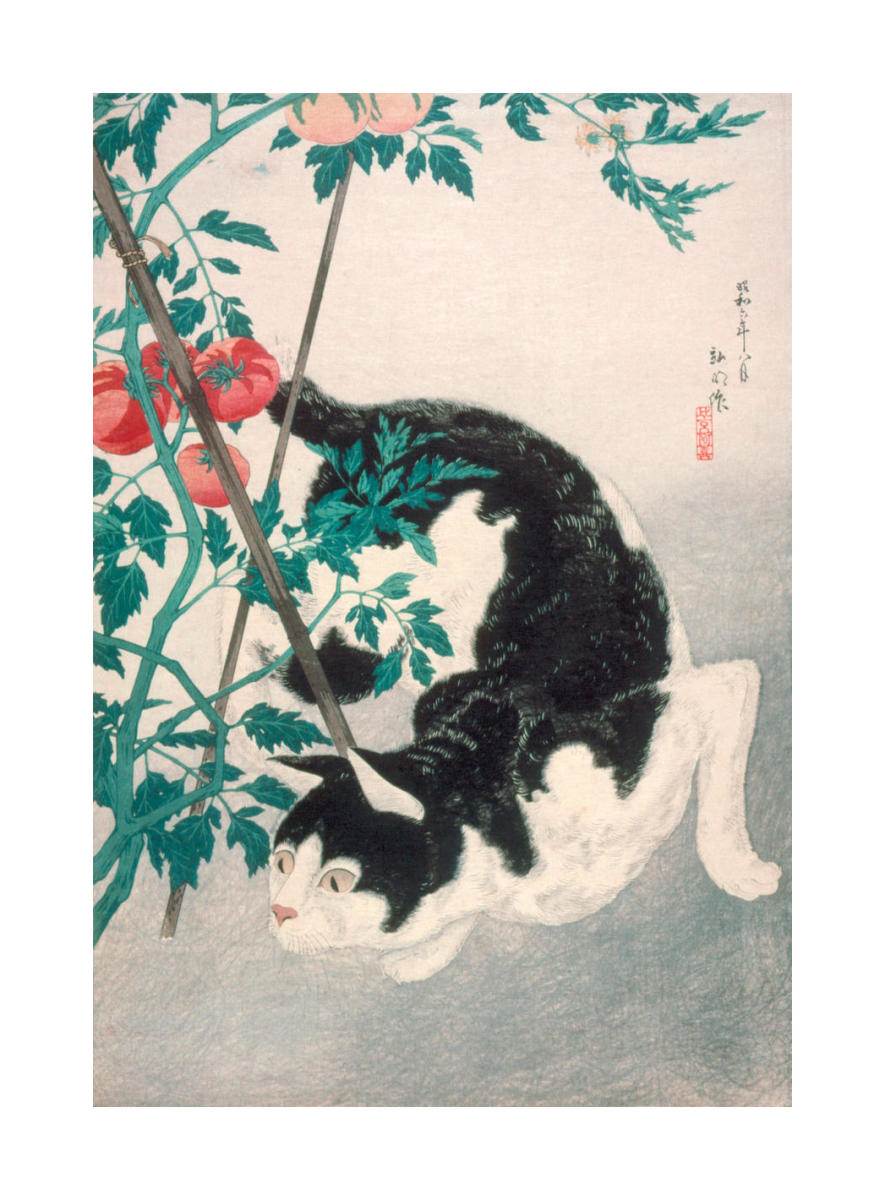 Cat with Tomato Plant, 1931 by Takahashi Hiroaki - Paper