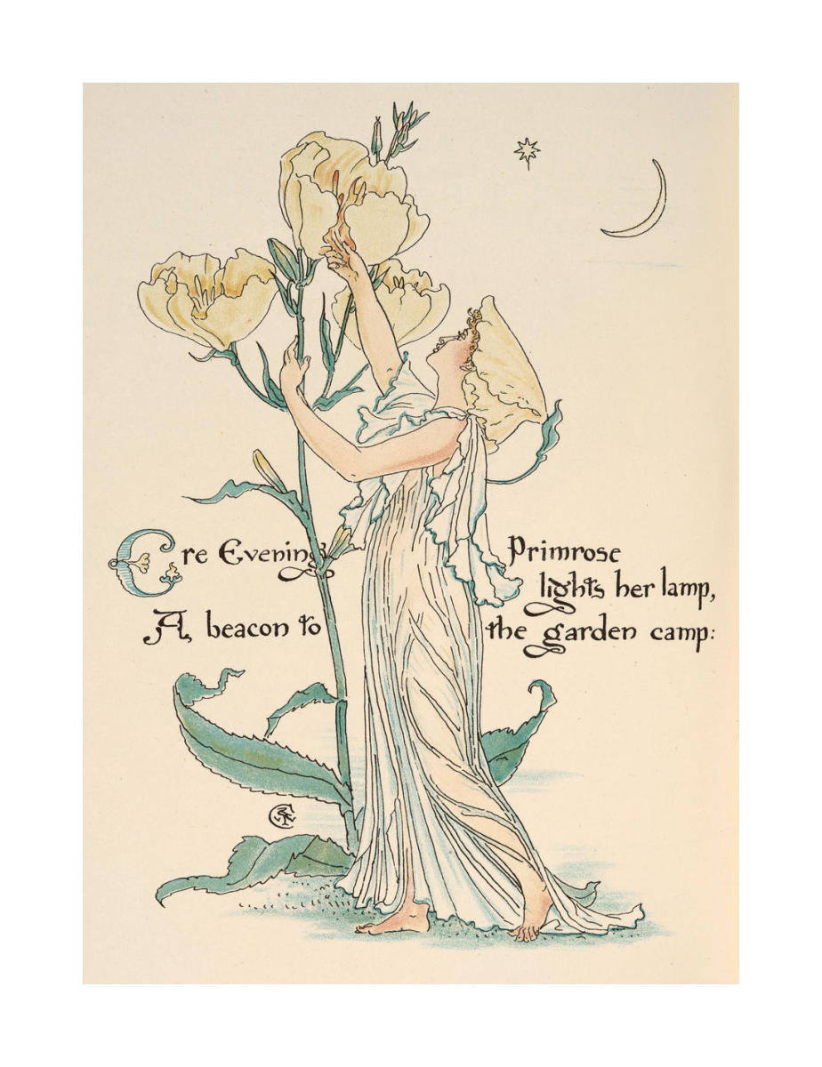 Flora's Feast: Evening Primrose by Walter Crane - Paper Print