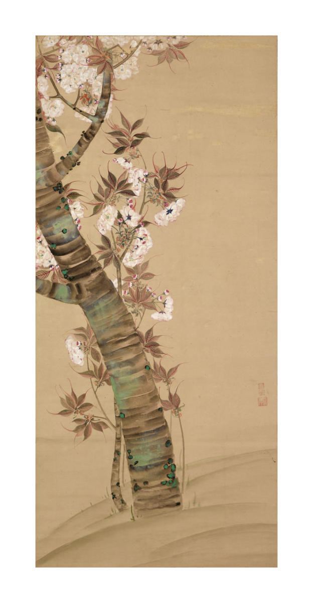 Blossoming Cherry Tree, late 1600s – early 1700s by Oda