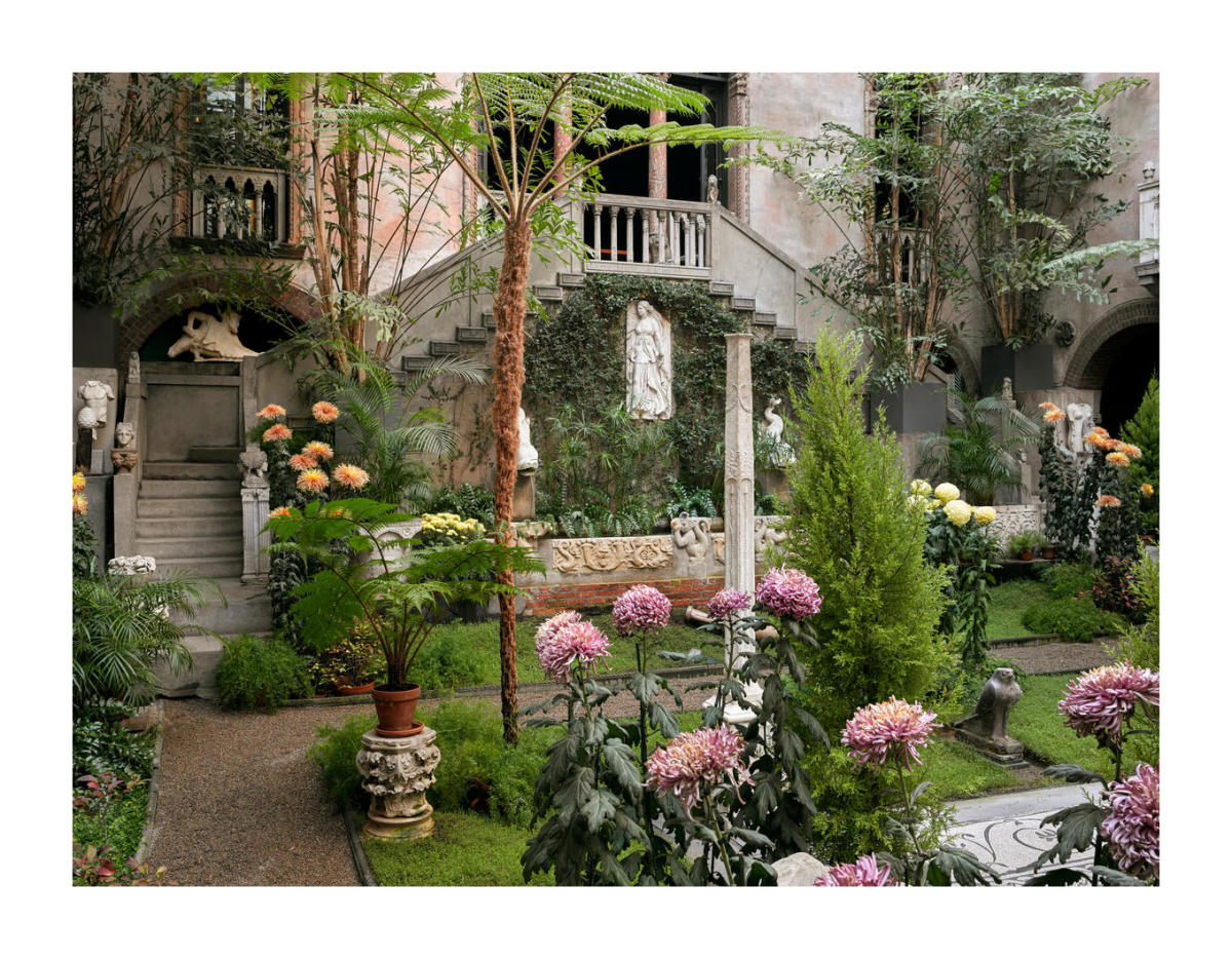 Chrysanthemum: Courtyard in Nasturtium Chrysanthemum: Courtyard in Nasturtium