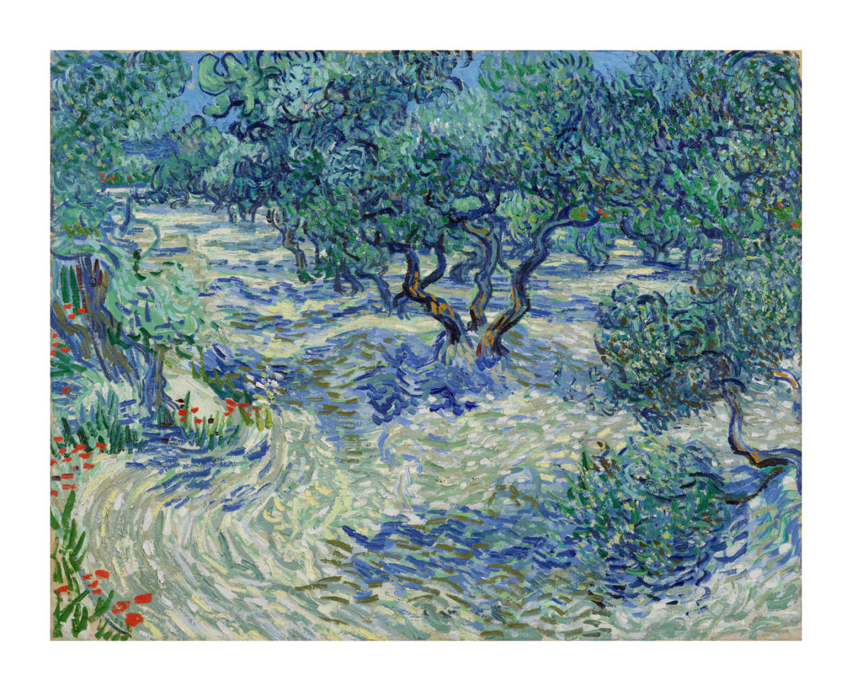 Olive Trees, 1889 by Vincent van Gogh - Paper Print - Nelson