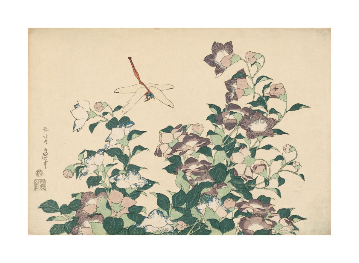 Bellflower and Dragonfly, about 1833–34 by Katsushika Hokusai