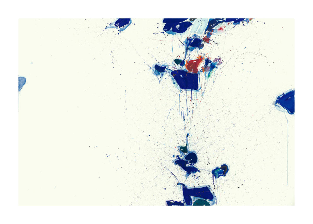 physics of the Void　Sam Francis Sam Francis: Metaphysics Of The Void by WALDBERG, Michel: Fine