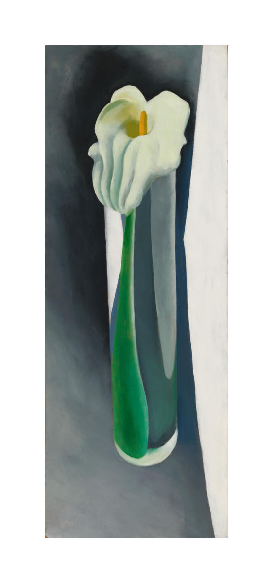 Calla Lily in Tall Glass - No. 2, 1923 by Georgia O'Keeffe - Paper
