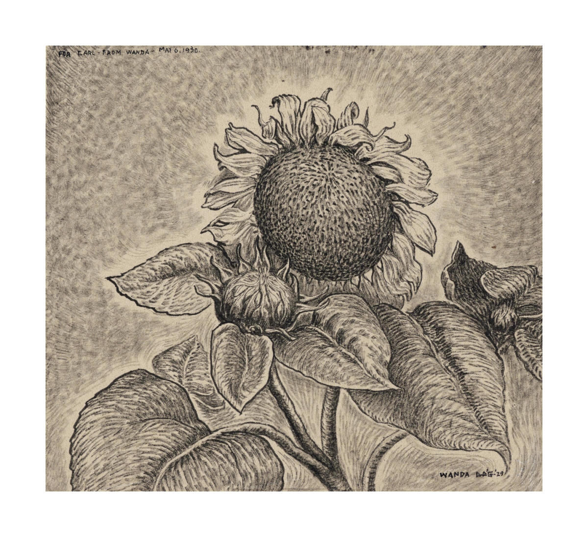 絵画 sunflower Sunflower Paint By Numbers Kits Uk GX200 — Artnumbers.co.uk