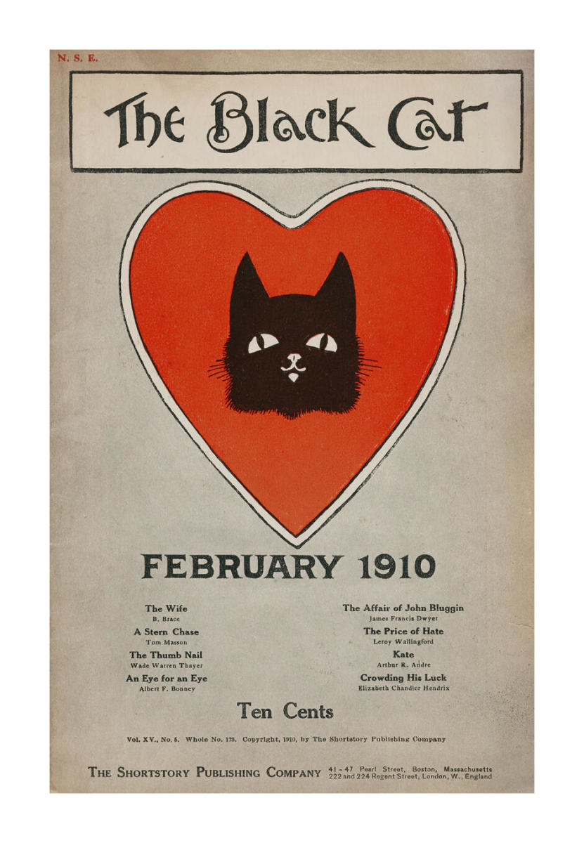 英語絵本　Early Reads - Black Cat - 29冊新品 Amazon.co.jp: The Black Cat (English Edition) 電子書籍: Poe