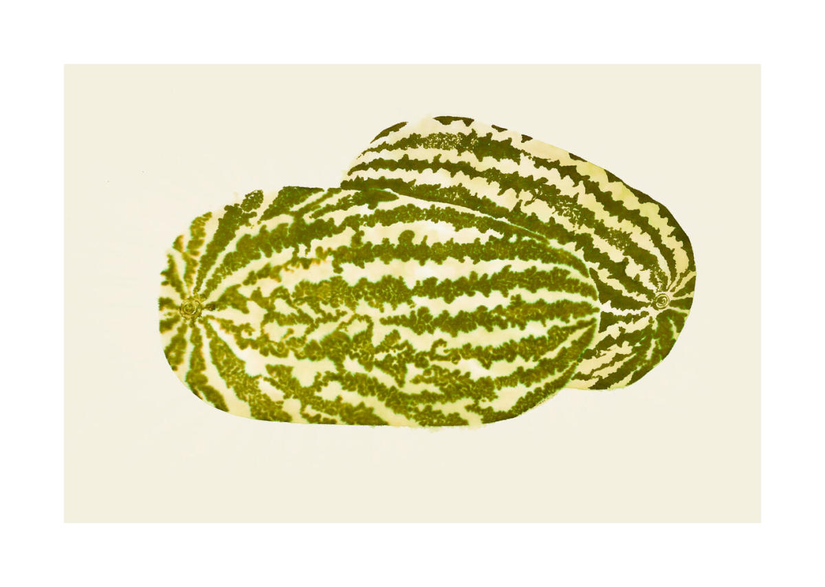 Untitled (WC.187, Two Watermelons), 1960s by Ruth Asawa - Paper